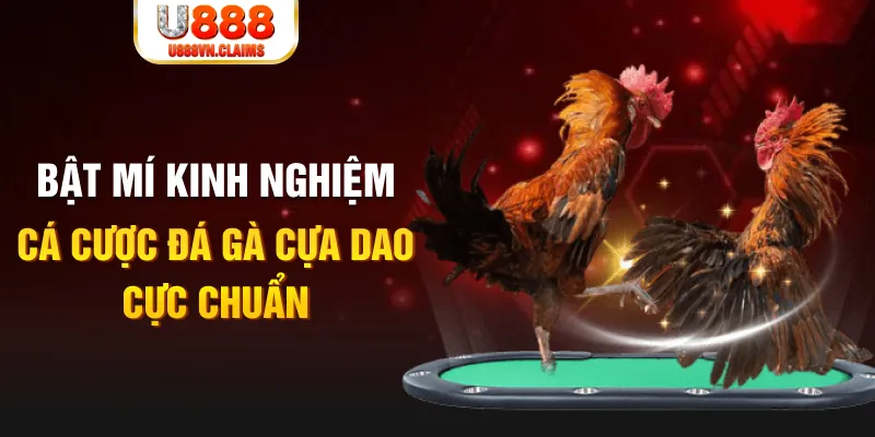 69vn vin trong baccarat, ai là người chia bài chính？