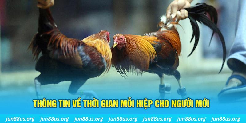 69vn vin Long Hổ 2