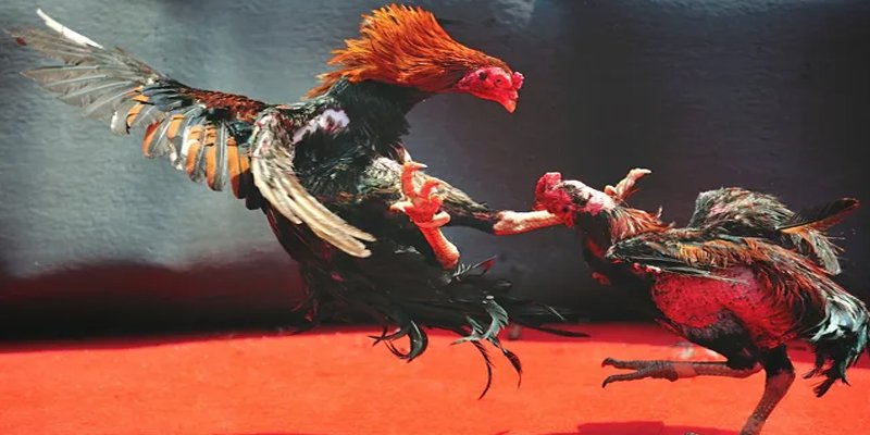 69vn vin đăng nhập nổ hũ số 1