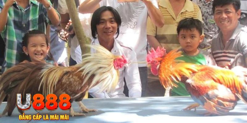 69vn vin mơ thấy nổ hũ đánh con gì