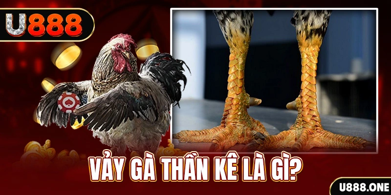 69vn vin xổ số miền bắc thứ tư hàng tuần