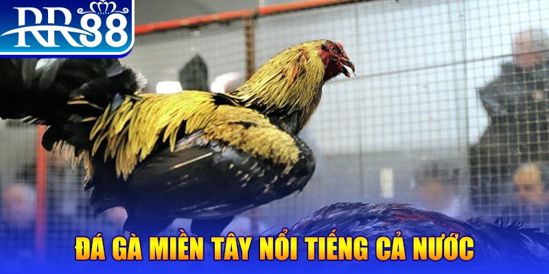 69vn vin đăng nhập liêng miễn phí