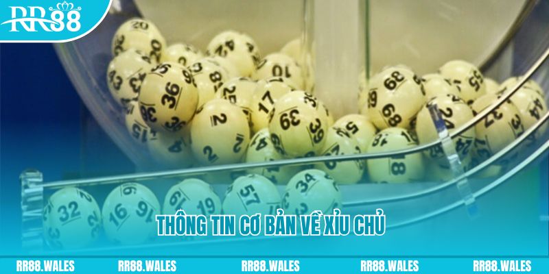 69vn vin baccarat long bảo là gì