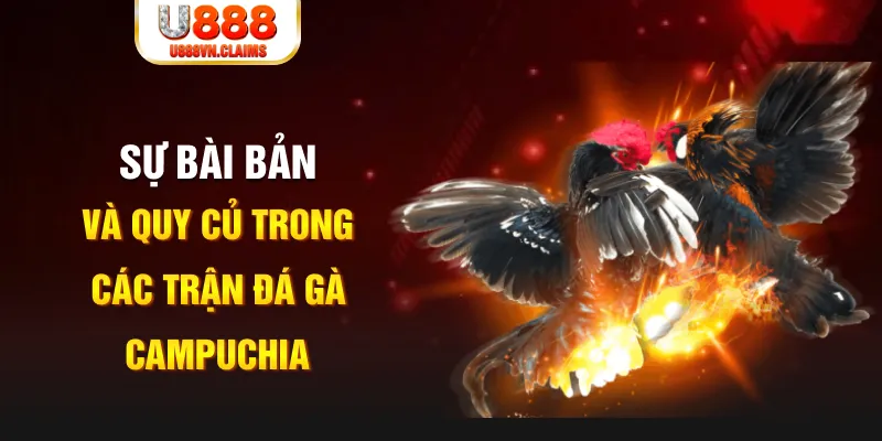 69vn vin baccarat lừa đảo như thế nào