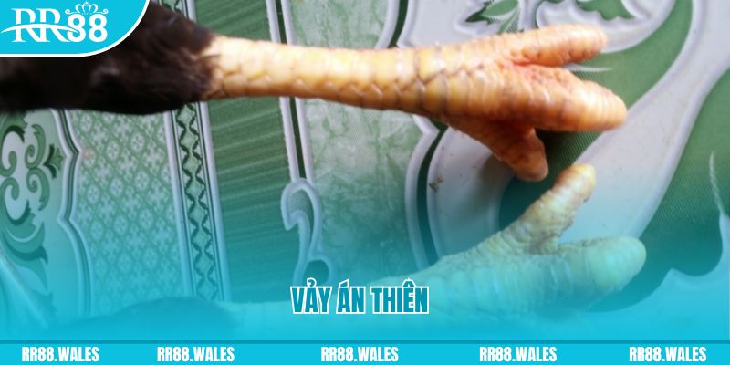 69vn vin who wants to be a millionaire slot