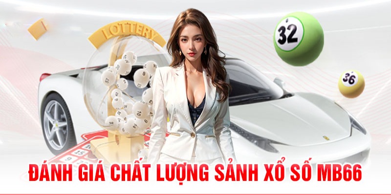 69vn vin 789bet có bao nhiêu sảnh game bài 3d ？